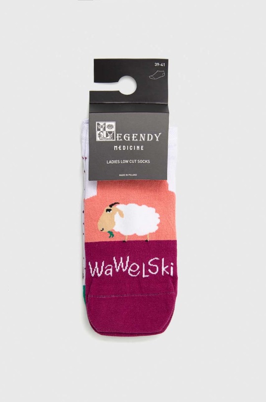 Odzież Skarpetki damskie bawełniane z kolekcji Legendy (2-pack) multicolor RW22.LGD103 multicolor