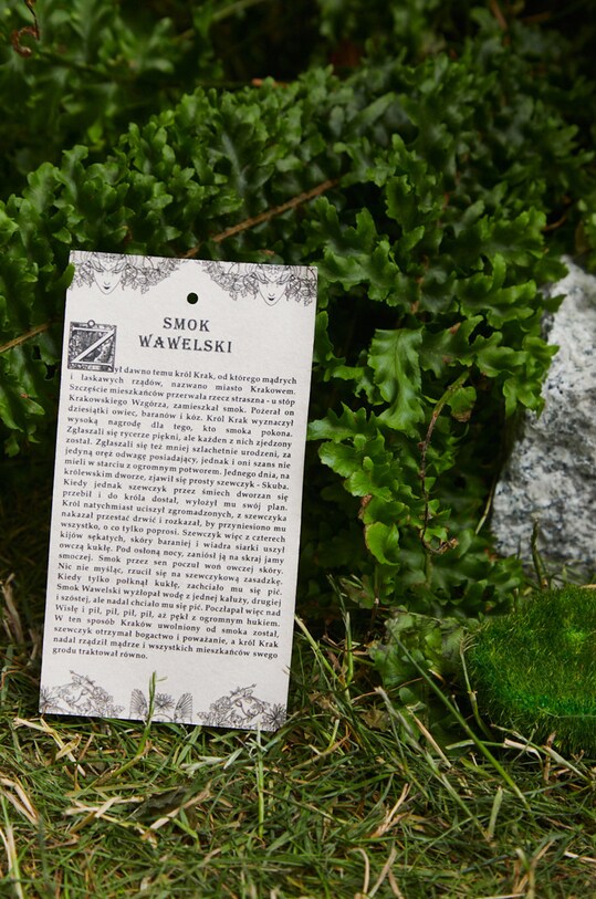Ponožky Medicine vícebarevná RW22.LGM101