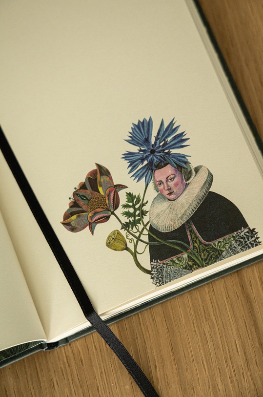 Lifestyle i travel Notatnik by Olaf Hajek kolor multicolor RW22.PAU803 multicolor