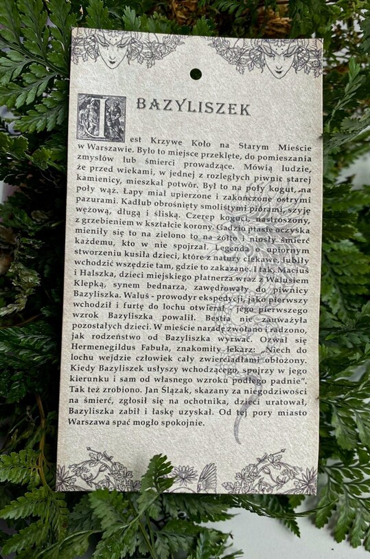 T-shirt bawełniany męski z kolekcji Legendy szary RW22.TSM154