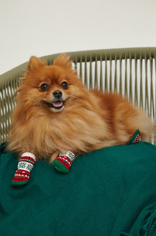 Akcesoria Skarpetki dla pupila świąteczne kolor multicolor RW23.ANU904 multicolor