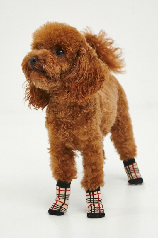 Skarpetki dla pupila wzorzyste kolor multicolor RW23.ANU905 multicolor RW23