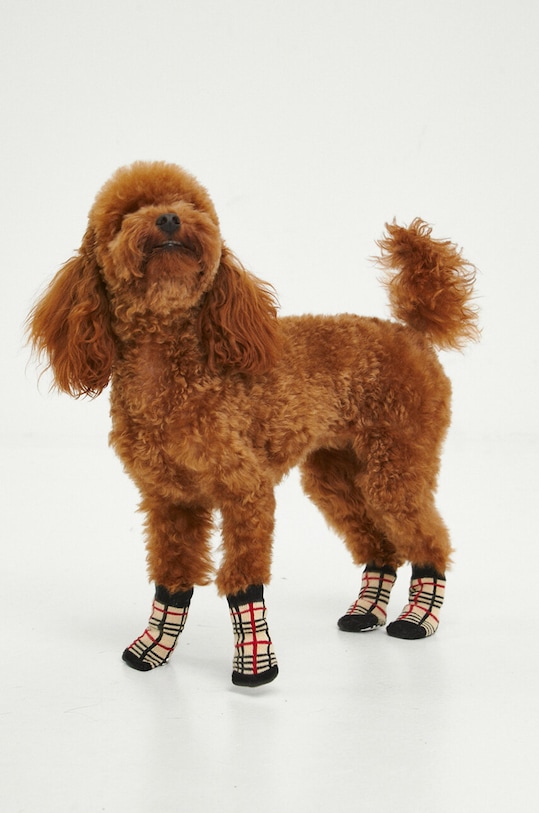 Akcesoria Skarpetki dla pupila wzorzyste kolor multicolor RW23.ANU905 multicolor