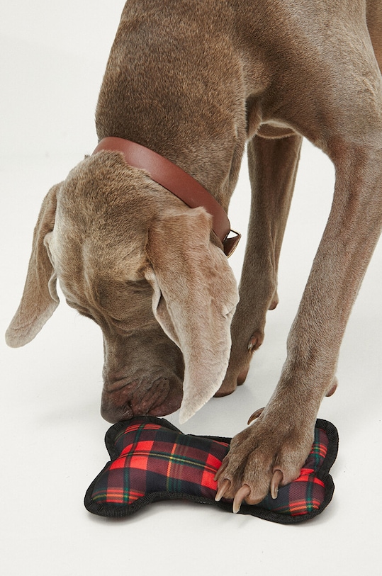 Hračka pre zvieratko plyšová - motív kosť červená farba RW23.ANU907 červená RW23