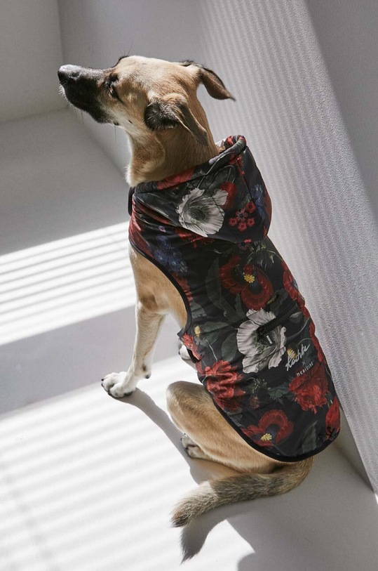 Kurtka dla pupila Radzka x Medicine kolor multicolor RW23.KUU851 multicolor RW23