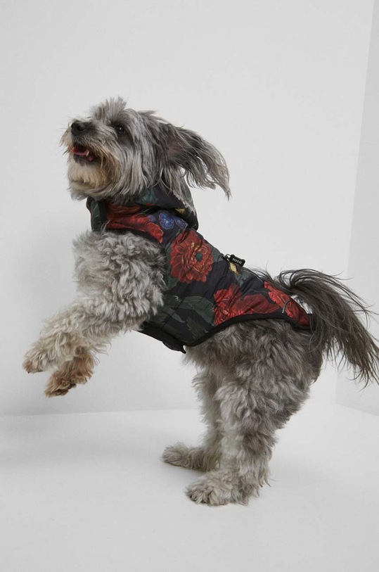 Akcesoria Kurtka dla pupila Radzka x Medicine kolor multicolor RW23.KUU851 multicolor