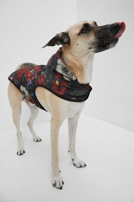 Kurtka dla pupila Radzka x Medicine kolor multicolor multicolor RW23.KUU851