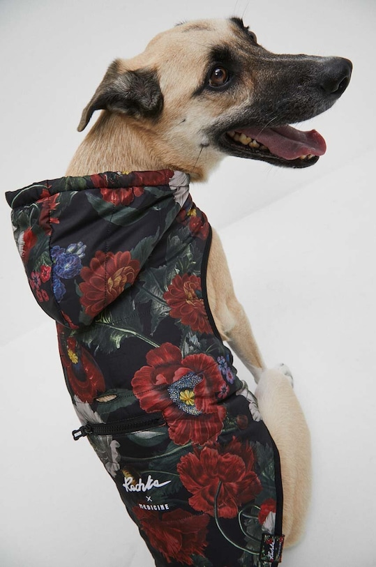 Kurtka dla pupila Radzka x Medicine kolor multicolor RW23.KUU851