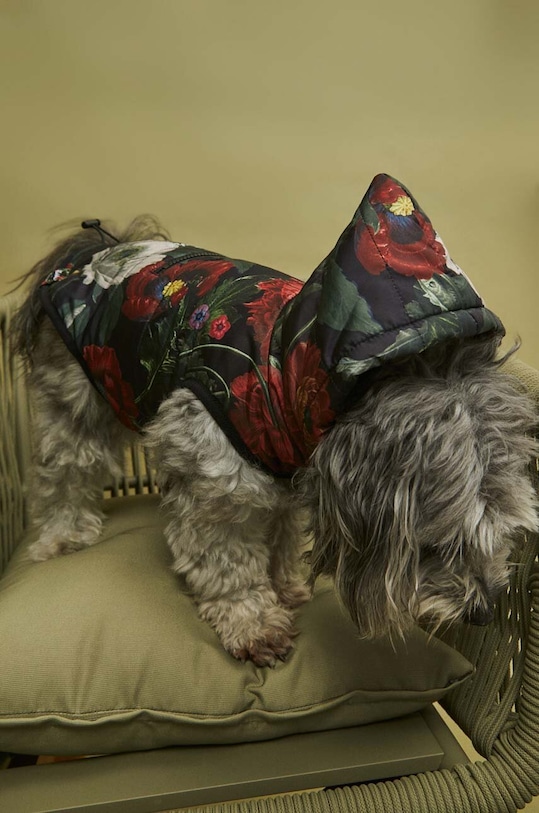 Kurtka dla pupila Radzka x Medicine kolor multicolor RW23.KUU851