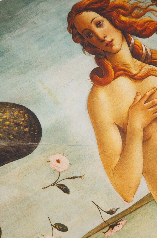 Medicine un set de lenjerie de pat din bumbac RW23.PCUB00 multicolor RW23