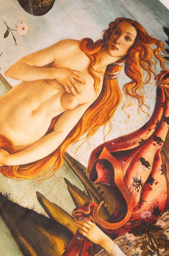 Medicine komplet pościeli bawełnianej RW23.PCUB01 multicolor RW23