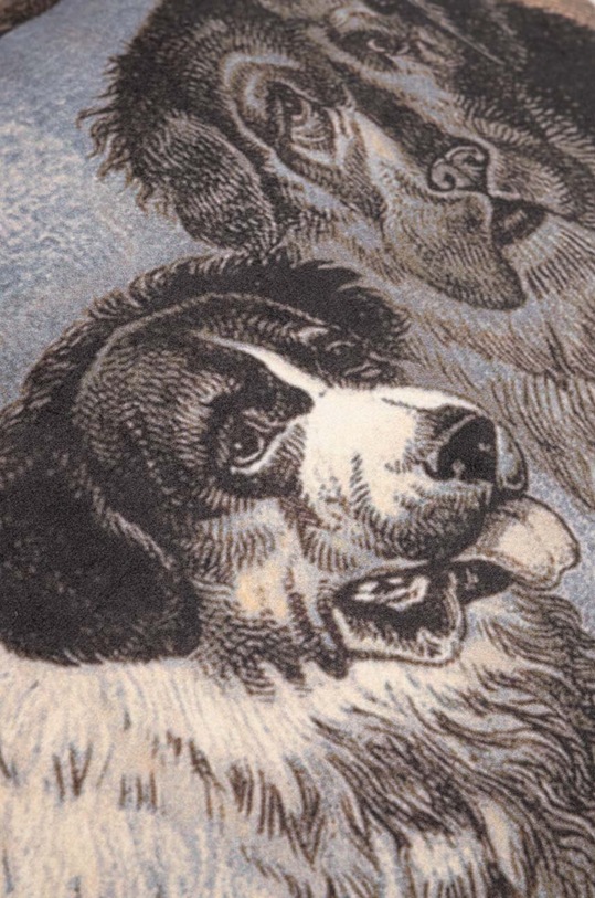 Spálňa Dekoratívna obliečka na vankúš 45 x 45 cm (1-pack) viac farieb RW23.PSU603 viacfarebná