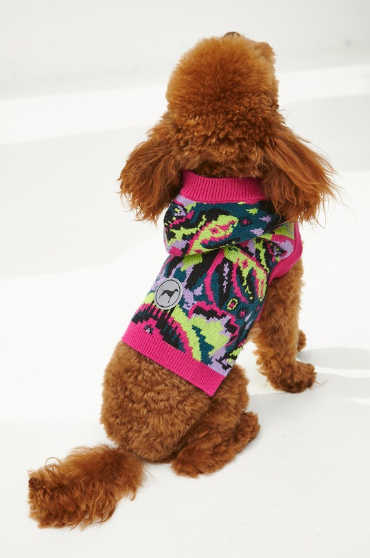 Sweter dla pupila wzorzysty multicolor RW23.SWU901