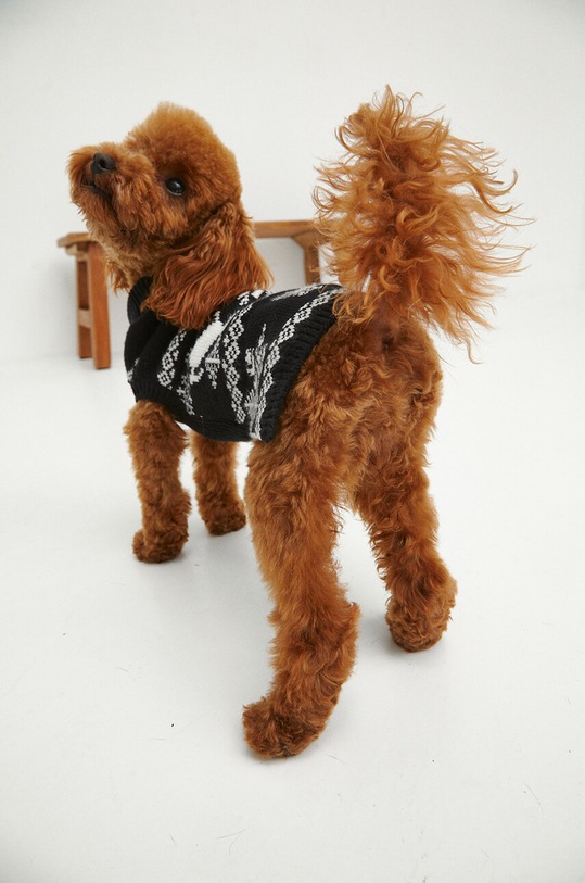 Sveter pre psa vianočný čierna farba čierna RW23.SWUA03