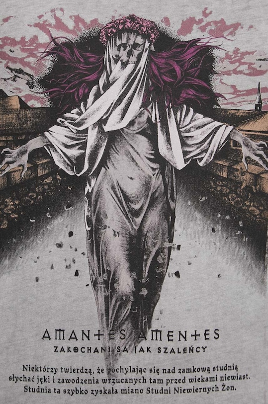 T-shirt bawełniany męski z kolekcji Zamkowe Legendy kolor szary RW23.TSM162