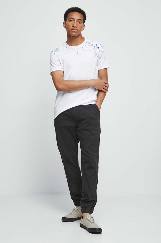 T-shirt bawełniany męski z nadrukiem kolor biały RW23.TSM210 biały RW23