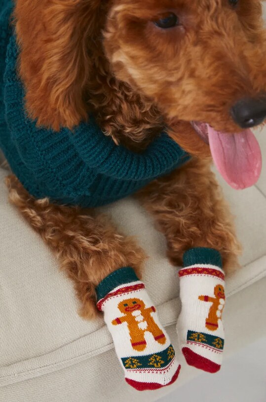 Skarpetki dla pupila świąteczne kolor multicolor multicolor RW24.ANU902