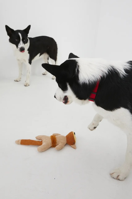 Hračka pro mazlíčka s umělou kožešinou béžová barva béžová RW24.ANU905