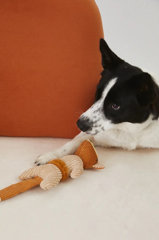 Medicine jucărie pentru un animal de companie RW24.ANU905