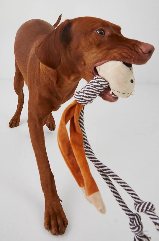 Zabawka dla pupila pluszowa kolor beżowy beżowy RW24.ANU909