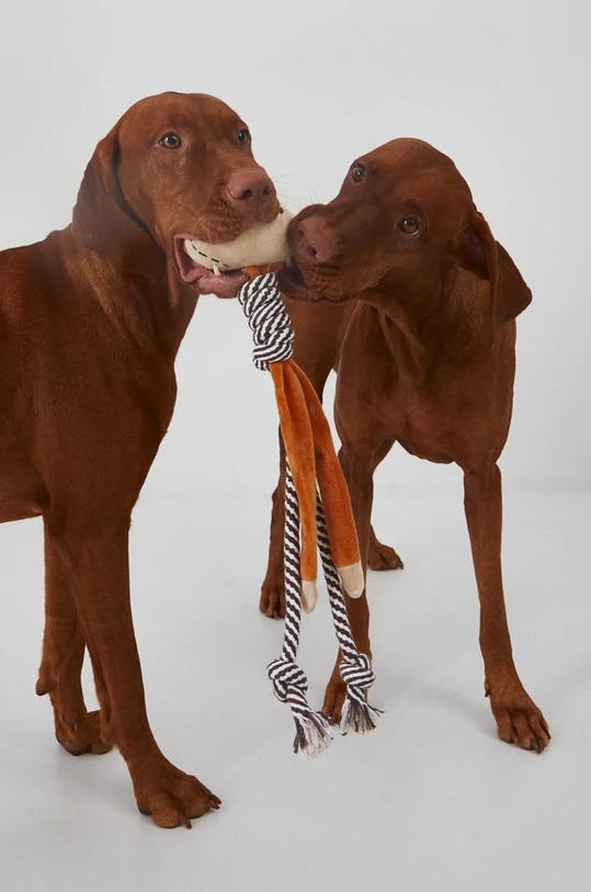 Zabawka dla pupila pluszowa kolor beżowy beżowy RW24.ANU909