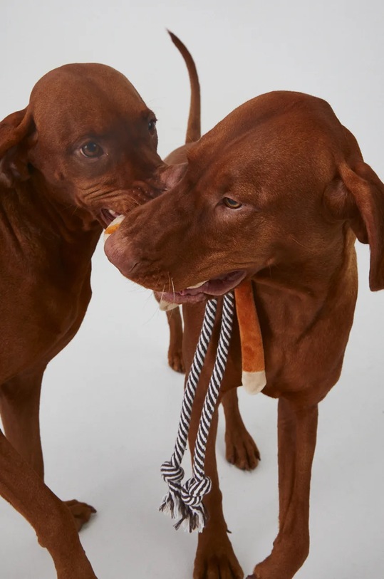 Zabawka dla pupila pluszowa kolor beżowy RW24.ANU909