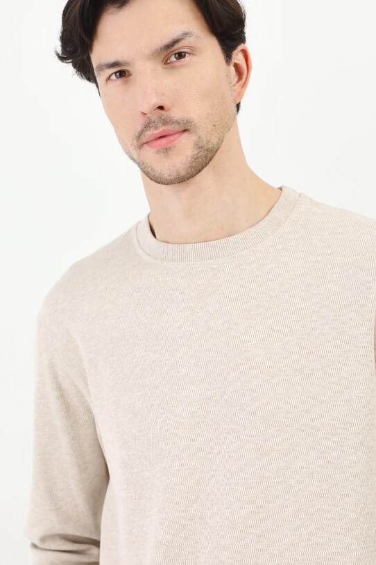 Longsleeve męski z fakturą kolor beżowy beżowy RW24.BUM051