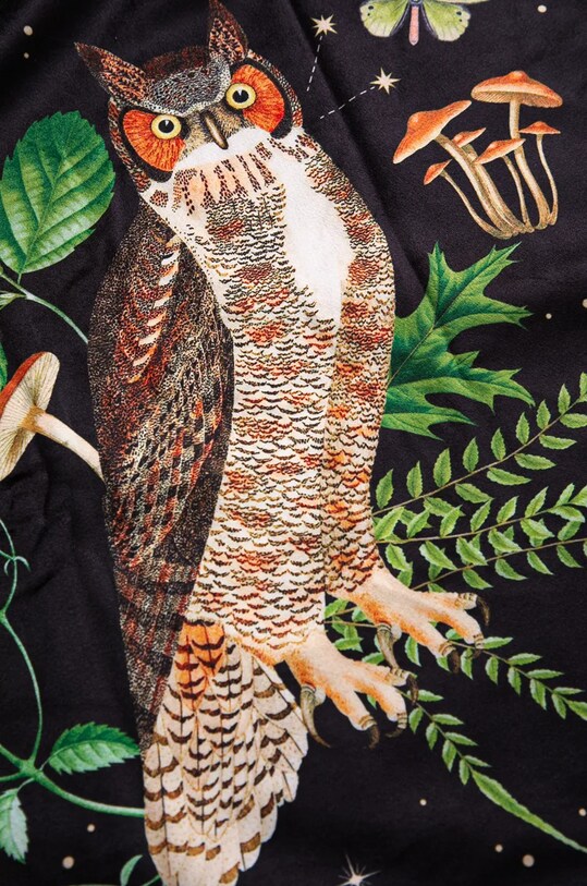 Dnevni boravak i spavaća soba Deka Medicine RW24.KOU700 šarena