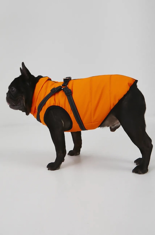 Medicine jachetă pentru un animal de companie portocaliu RW24.KUU803