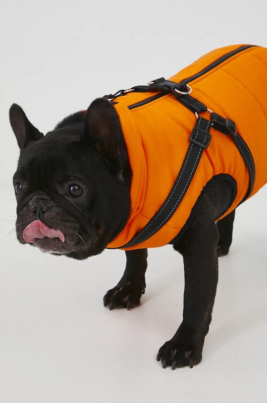 Medicine jachetă pentru un animal de companie RW24.KUU803 portocaliu