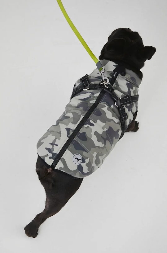 Яке за домашен любимец Medicine зелен RW24.KUU803