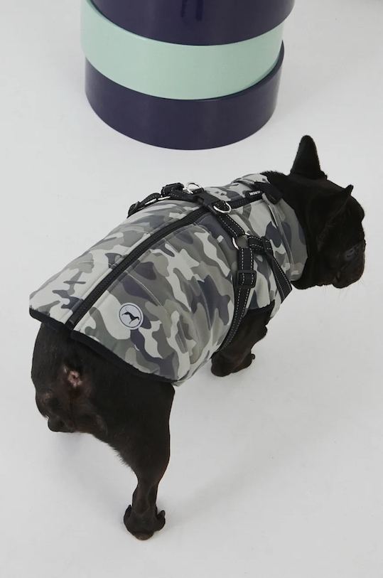 Яке за домашен любимец Medicine RW24.KUU803