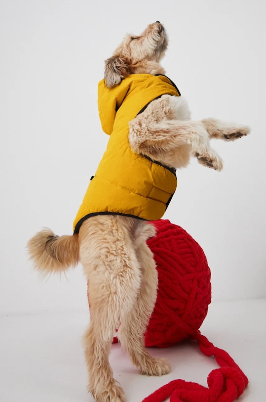 Kurtka dla pupila pikowana kolor żółty RW24.KUU805 żółty