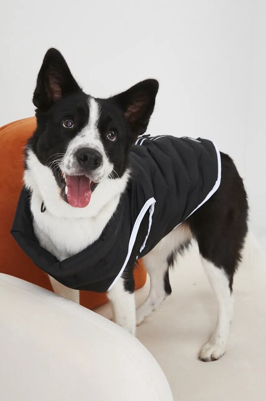 Kurtka dla pupila pikowana kolor czarny czarny RW24.KUU900