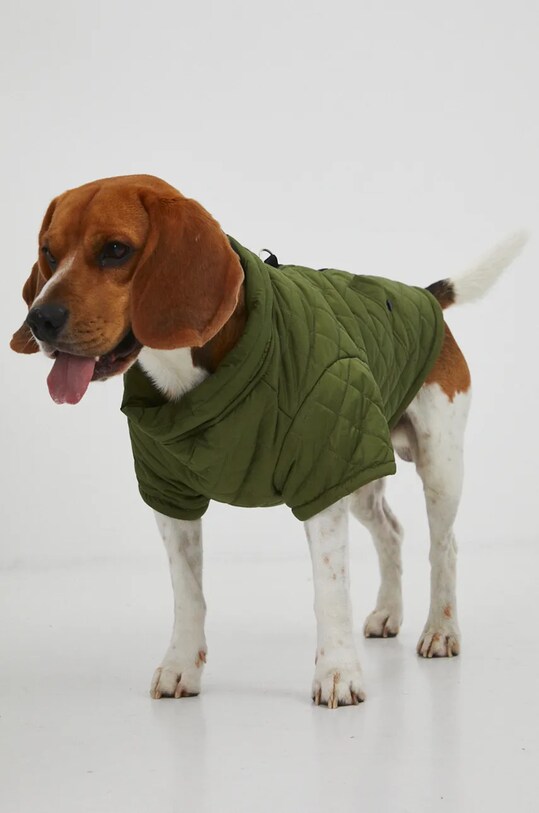 Kurtka dla pupila pikowana kolor zielony RW24.KUU901 zielony