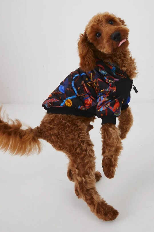 Medicine jachetă pentru un animal de companie RW24.KUUB00 multicolor