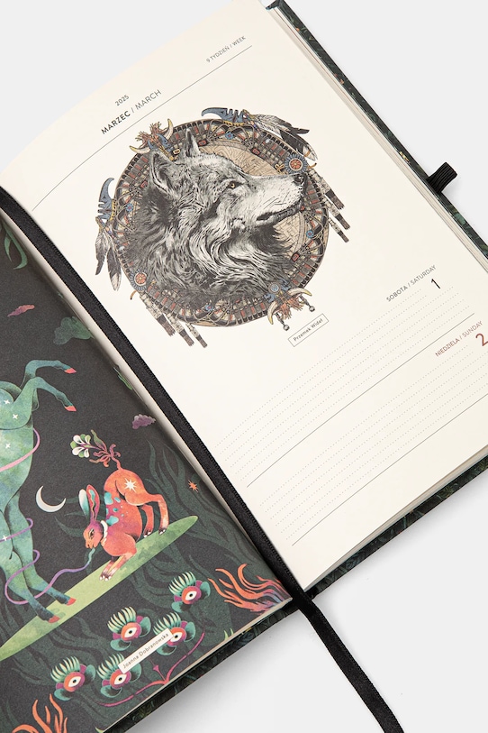 Medicine kalendarz RW24.PAU802 multicolor RW24