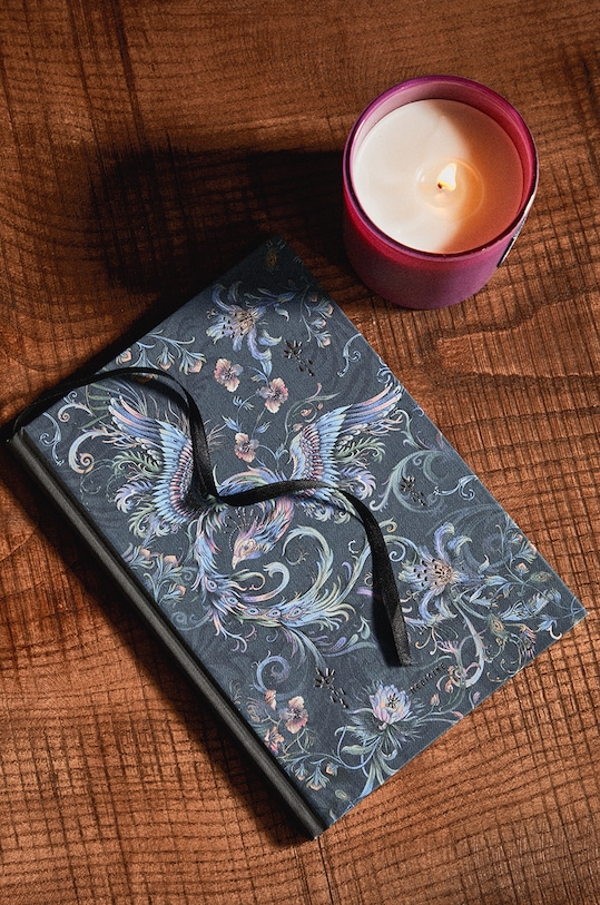 Bilježnica Medicine šarena RW24.PAU808