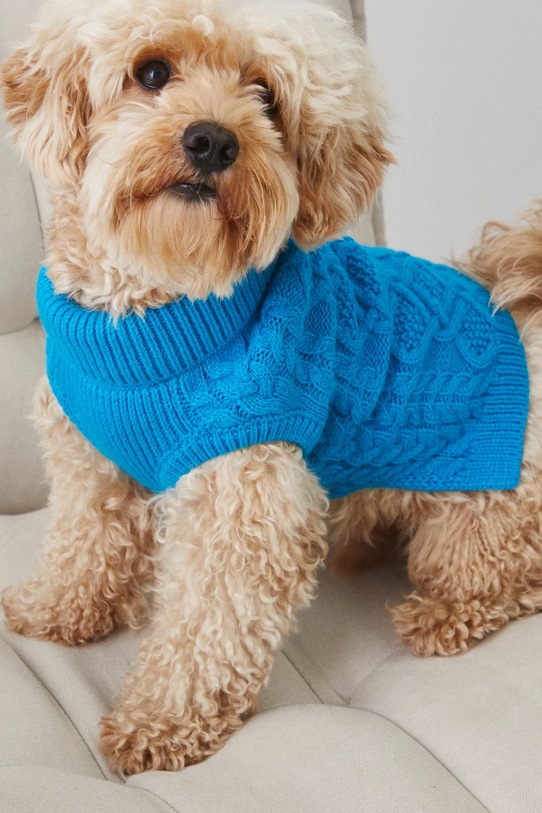 Sweter dla pupila z warkoczowym splotem kolor niebieski RW24.SWU0A0 fioletowy RW24