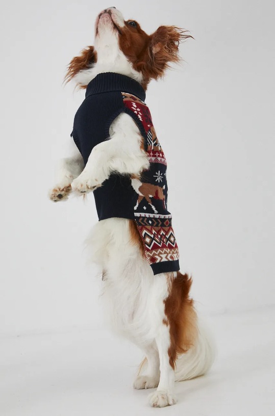 Akcesoria Sweter dla pupila świąteczny wzorzysty kolor multicolor RW24.SWUA00 multicolor