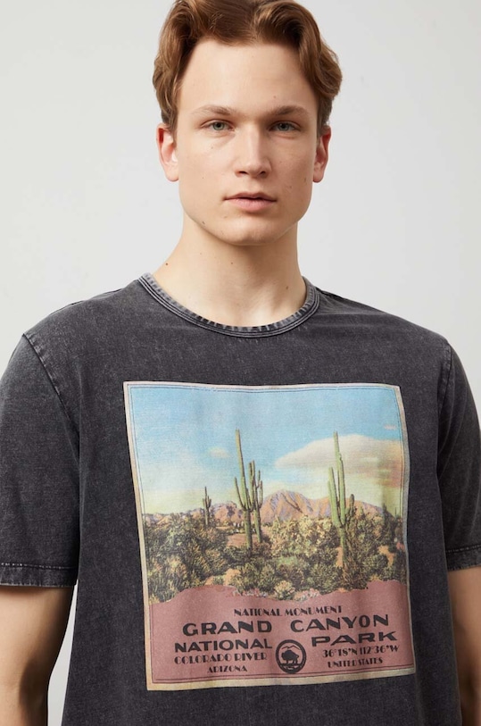 T-shirt bawełniany męski z nadrukiem kolor szary szary RW24.TSM211
