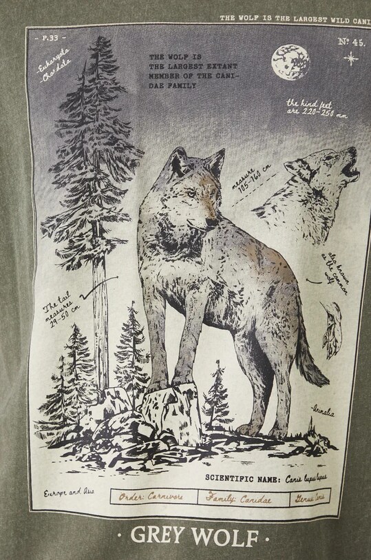 T-shirt bawełniany męski z kolekcji Together For Nature kolor zielony RW24.TSM705