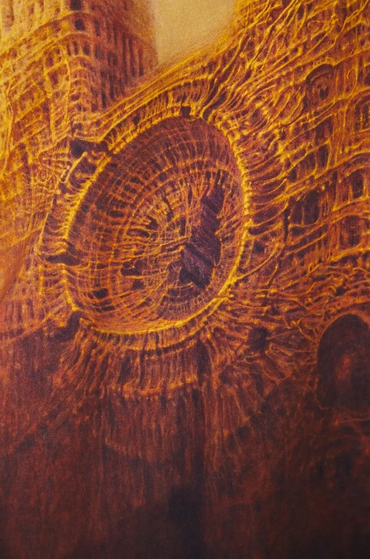 T-shirt męski z kolekcji Zdzisław Beksiński x Medicine kolor multicolor RW24.TSM850