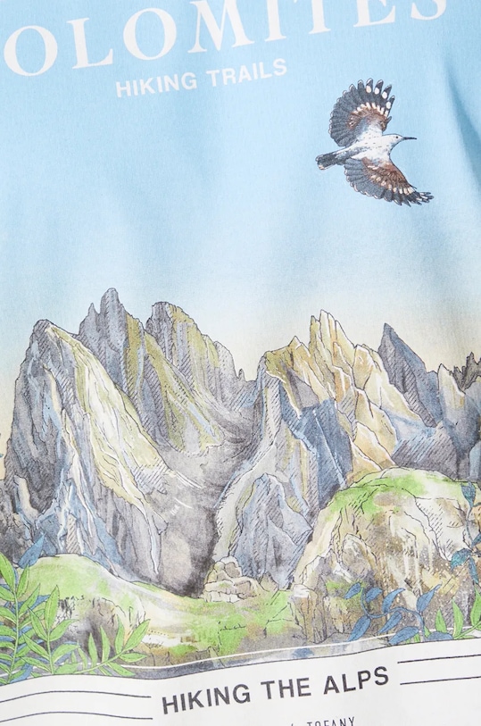 T-shirt bawełniany męski z nadrukiem kolor brązowy RW24.TSM902 brązowy