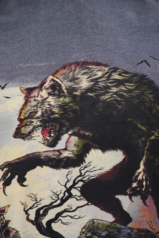 Bluza bawełniana męska wzorzysta RW25-BLM706 czarny