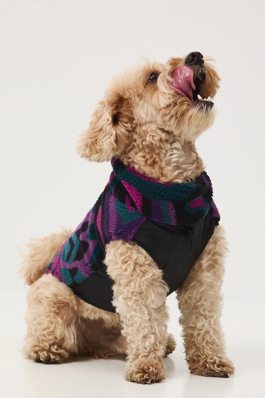 Medicine bluza dla pupila multicolor RW25-BLU701