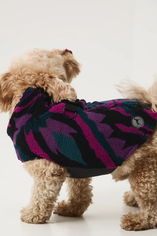 Lifestyle Medicine bluza dla pupila RW25-BLU701 multicolor