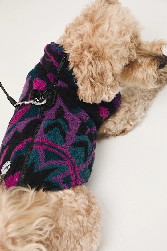 Medicine bluza dla pupila RW25-BLU701 multicolor