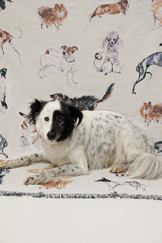 Koc żakardowy z okazji Dnia Psa – Zofia Różycka x Medicine beżowy RW25-KOU450