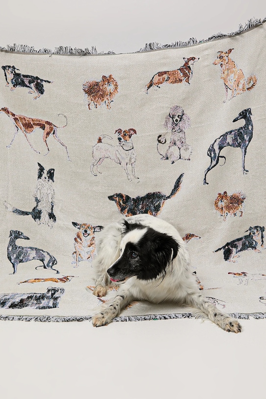 Koc żakardowy z okazji Dnia Psa – Zofia Różycka x Medicine RW25-KOU450 beżowy